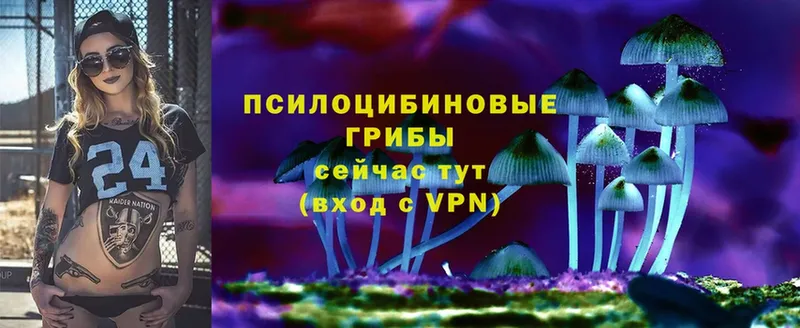 продажа наркотиков  Новоульяновск  Галлюциногенные грибы мицелий 